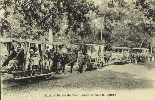 17 - Forêt de la Coubre Départ du tram forestier pour la Coubre.JPG