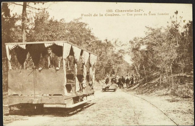 17 - Forêt de la Coubre4.JPG