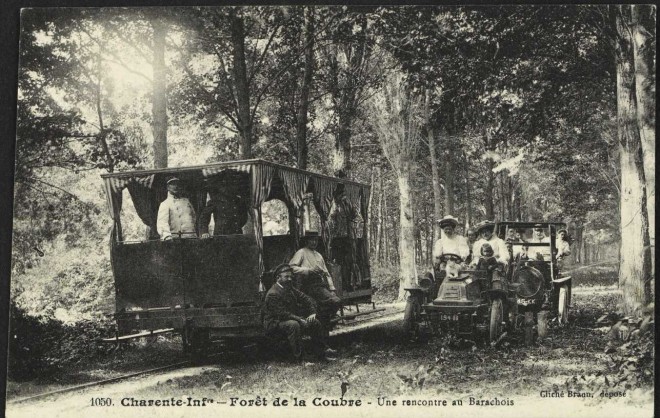 17 - Forêt de la Coubre2.JPG