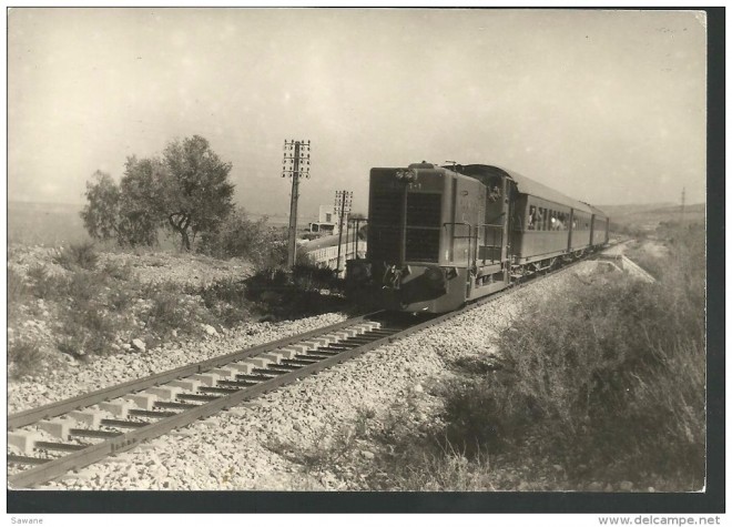 542 - Beyrouth-Tripoli 486_001.jpg