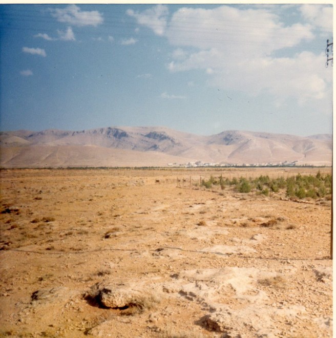 558bis - Liban Bekaa001.jpg