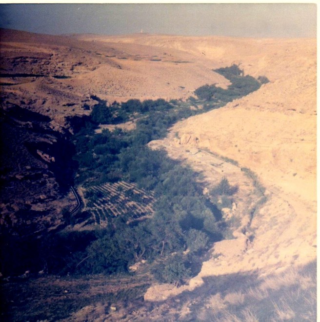 571 - Liban Oronte001.jpg