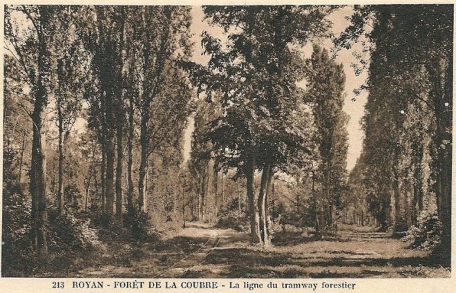 1 Tramway Forestier 4.jpg