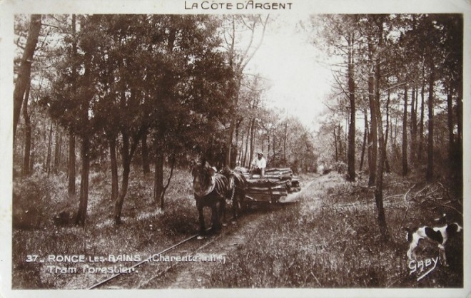 3 Tramway Forestier 6.jpg