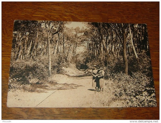 4 Tramway Forestier 3.jpg