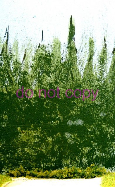 fond vert.texte.jpg