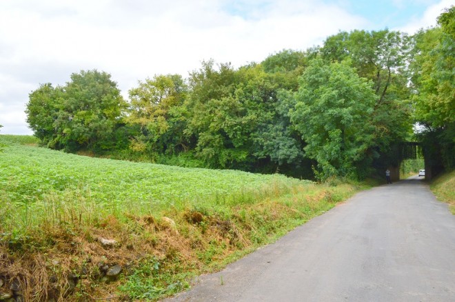 12 DSC_3238.JPG