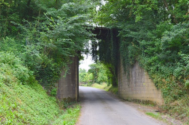 14 DSC_3235.JPG