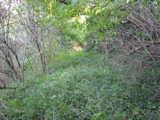 16 - Diapositive33.jpg