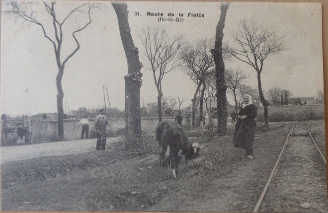 CPA-ile-de-ré-route-de-la-flotte2.jpg