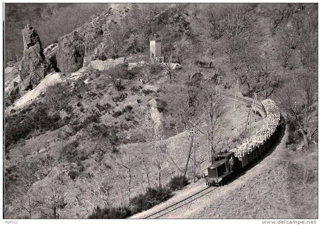 Chemin de Fer DÃ©partementaux de LOZERE BVA 661-6 Train de bois entre ROUVE-JALCREST et le PN de CROS le 22-04-1965.jpg