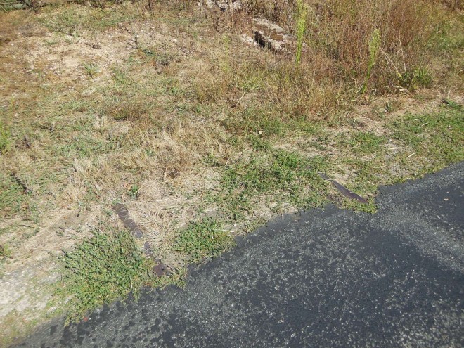 29 - DSCN4857.JPG