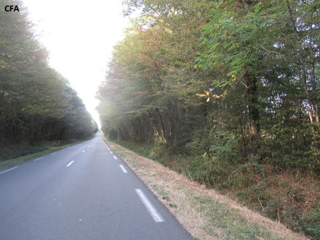 IMG_7947.jpg1.jpg