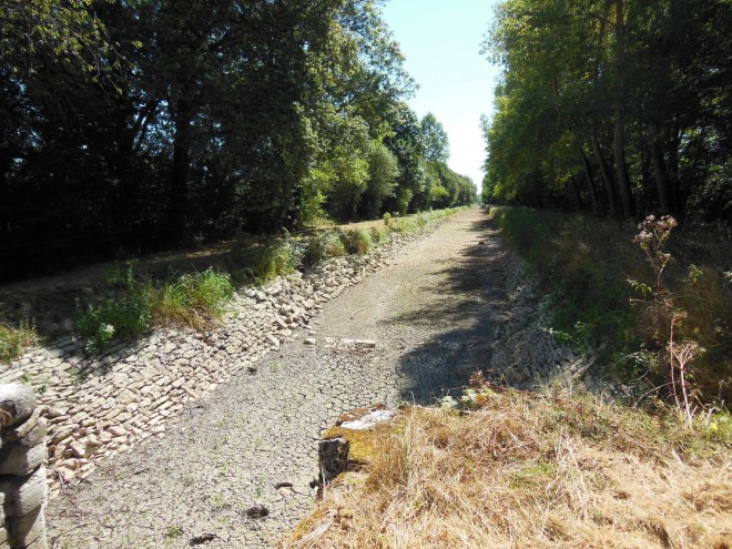 37 - DSCN4865.JPG