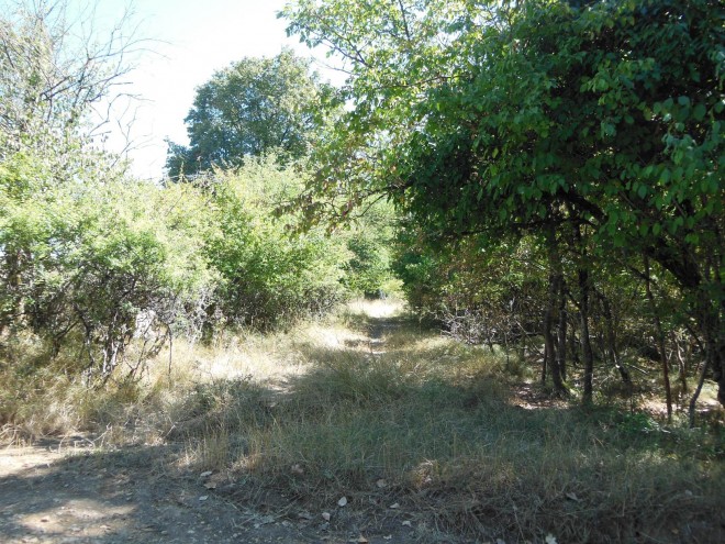 69 - DSCN4884.JPG
