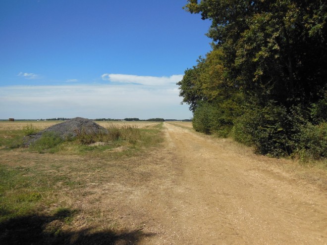 81 - DSCN4898.JPG