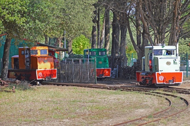 DSC_3491ps.jpg