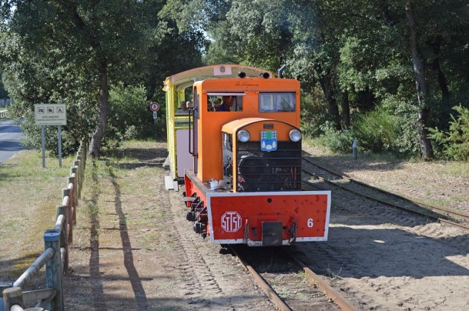 DSC_3497ps.jpg