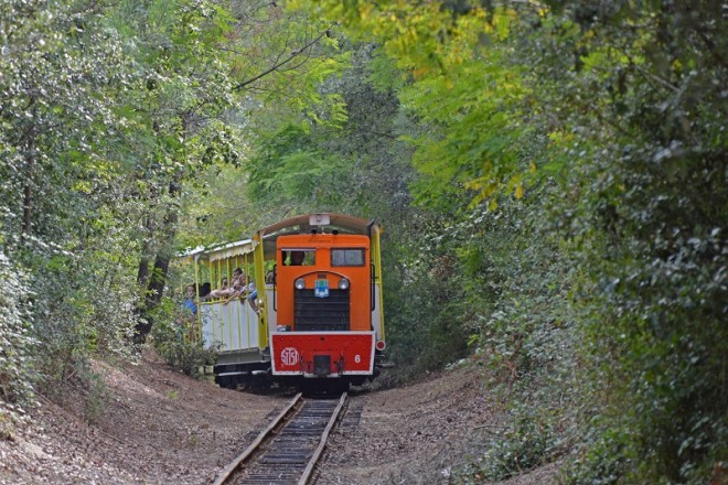 DSC_3501ps.jpg