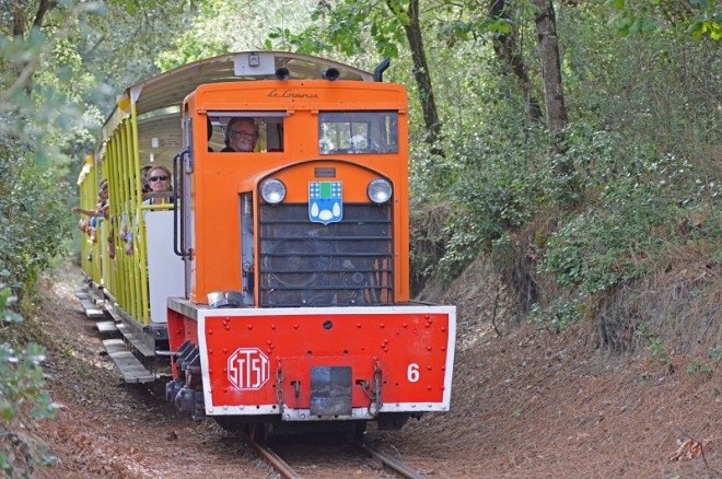 DSC_3511ps.jpg