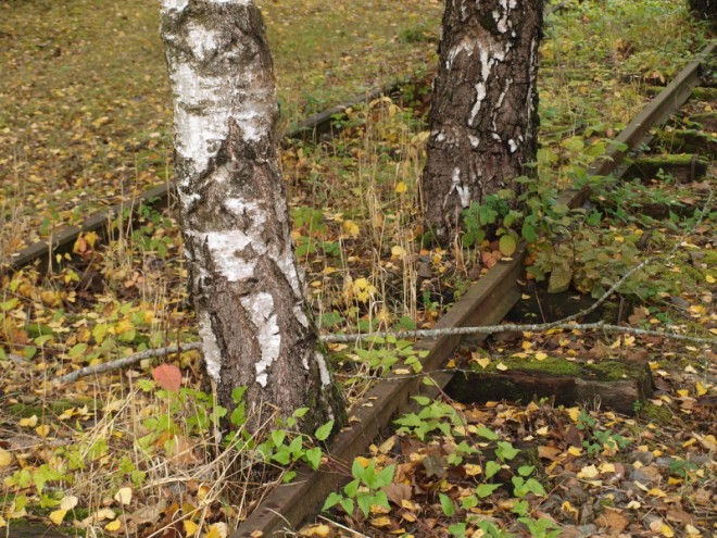 25octobre8.jpg