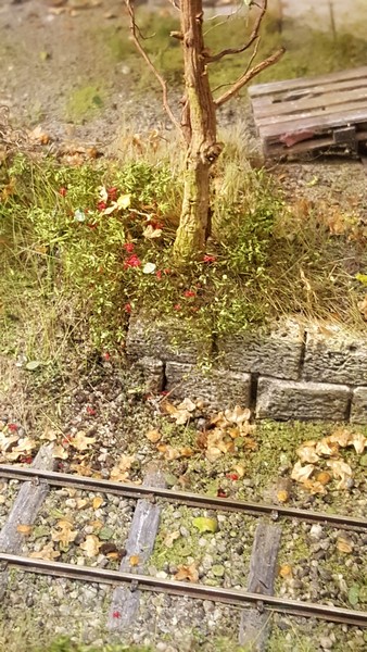 20161112_105314.jpg