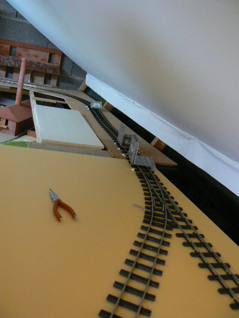 P1140516.JPG