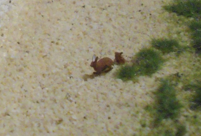 DSC06382.JPG