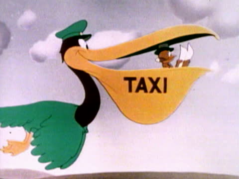 Pelican Taxi 1..jpg