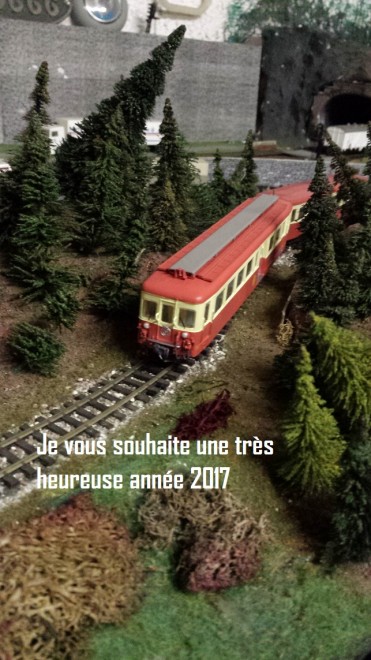 voeux GV.jpg