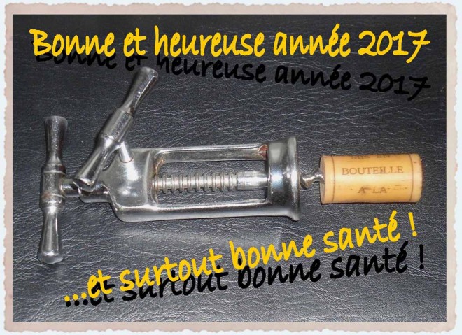 Voeux 2017-2.jpg