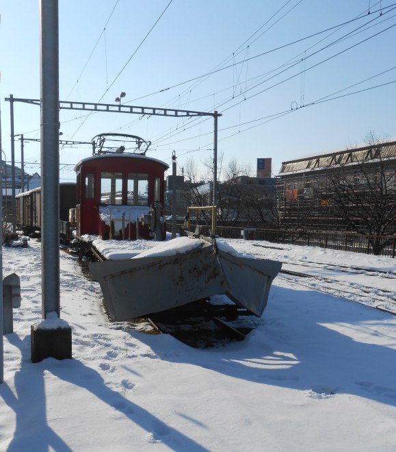 DSCN3678.jpg