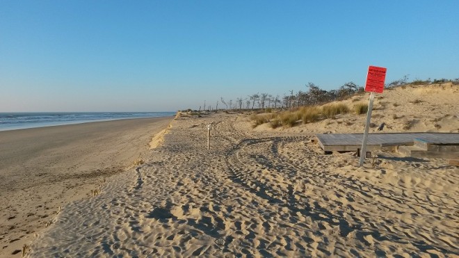 maumusson 8.jpg