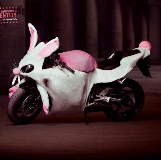 PME Lapin Moto 2..jpg