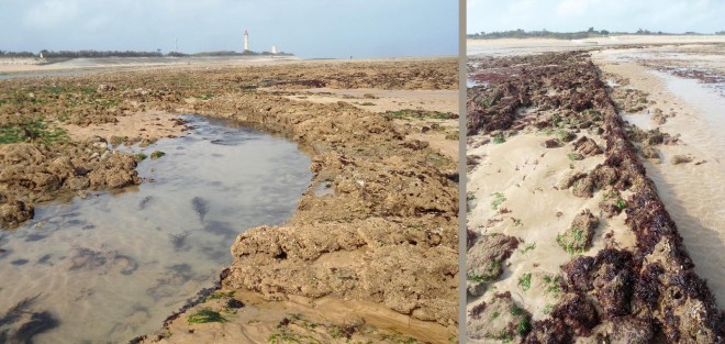 Vestiges brise-lame de la Conche.jpg