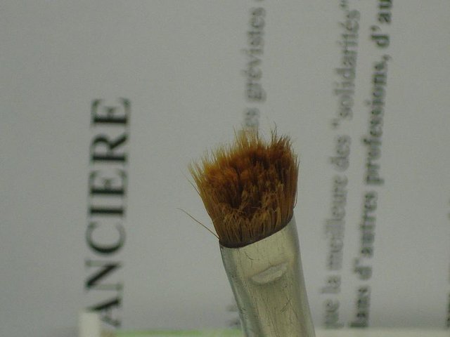 DSC06824_.JPG