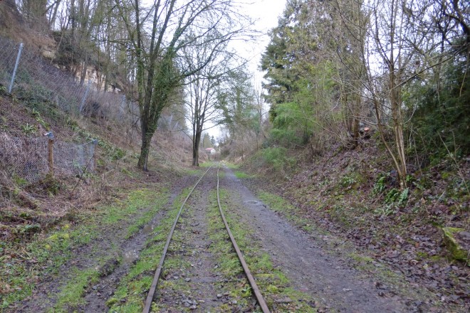 P1040890.JPG