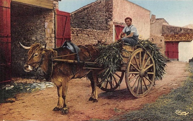 La Flotte  - le Père Pelé - 1959.jpg