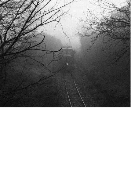 willÃ¨me dans labrume.JPG
