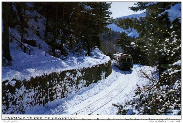 CHEMIN DE FER DE PROVENCE AUTORAIL RENAULT DANS LA FORET DES LUNIERES PRES ANNOT.jpg