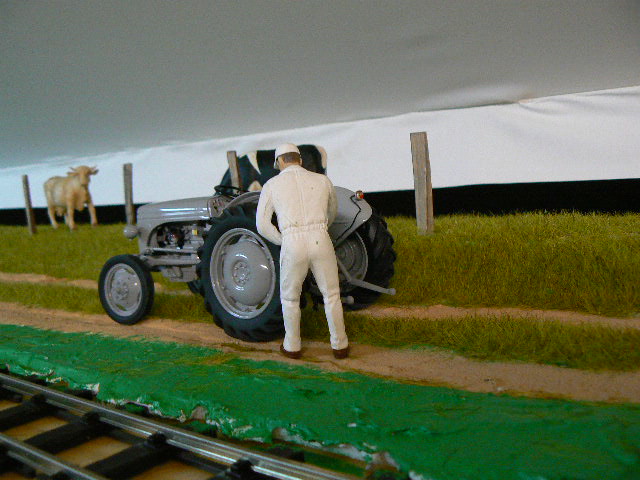 P1140699.JPG
