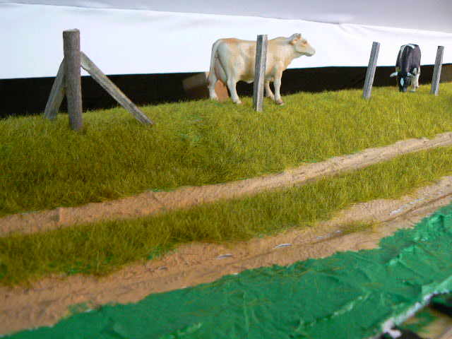 P1140697.JPG