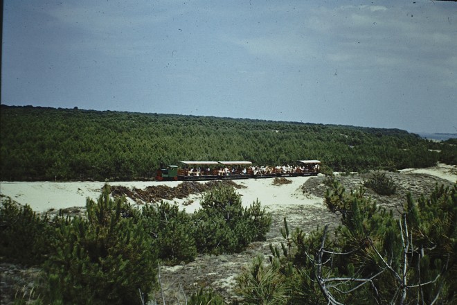 PICT0027.JPG