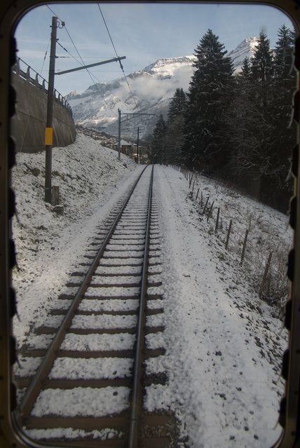 IMGP3741.jpg