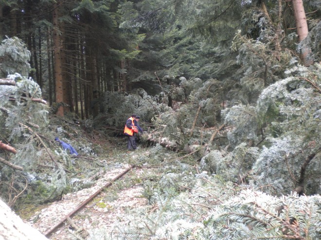 DSCN7118.JPG