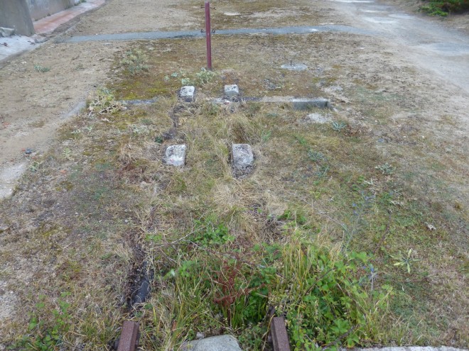 010.JPG