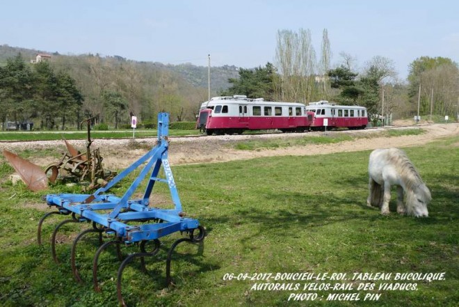 282.JPG