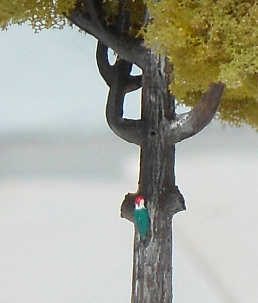 A Pivert 2.JPG