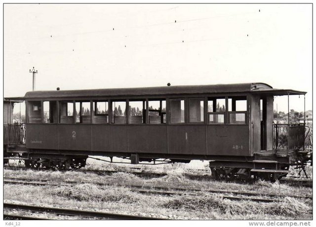 Camargue 2.jpg
