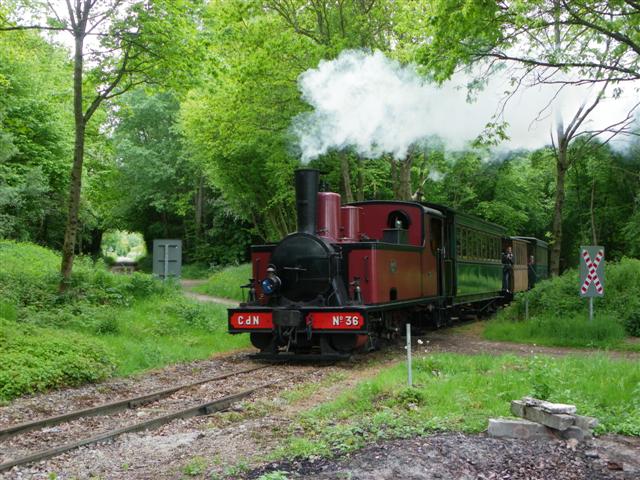IMGP9717 (Small).JPG